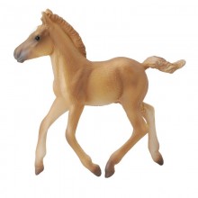 Animaux Poulain Haflinger