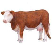 Animaux Vache Hereford 