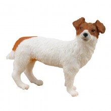 Animaux Jack Russel Terrier 