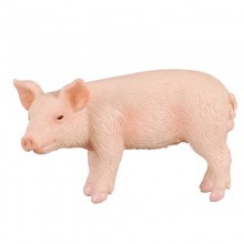 Animaux Porcelet 