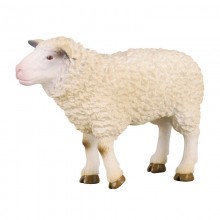 Animaux Mouton 
