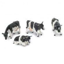 Animaux Vaches Holstein (4)